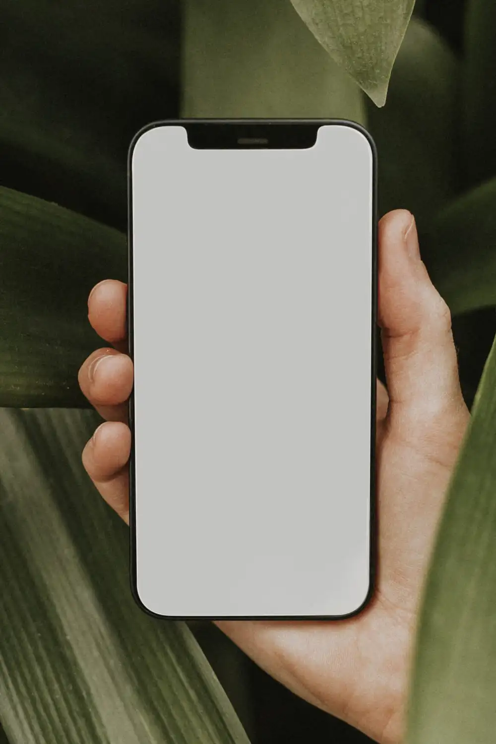 Close up of a hand holding an iphone